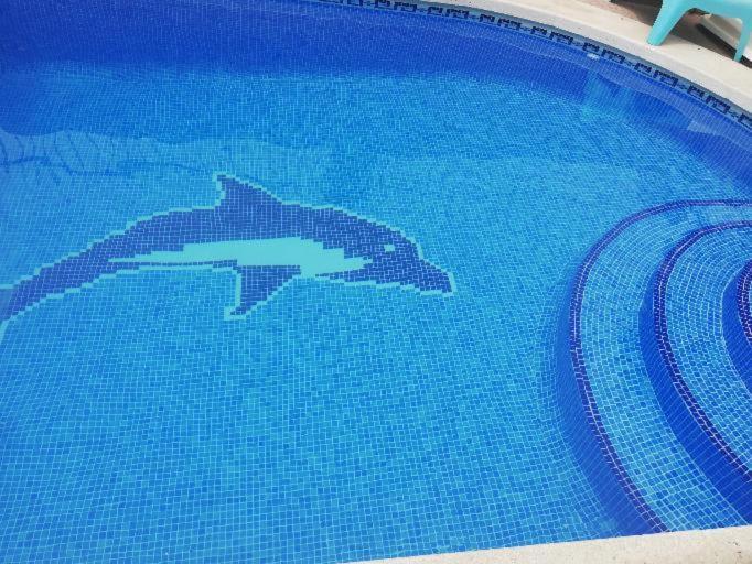 Piso entero en semi sótano con Piscina salína privada Apartamento San Pedro del Pinatar Exterior foto